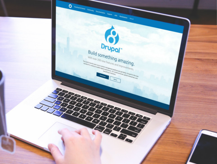 drupal web development services