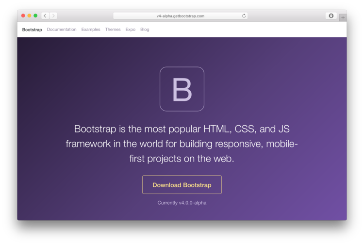 bootstrap web development services